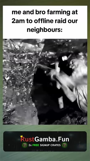 Exploring the World of Rust Multiplayer Gaming