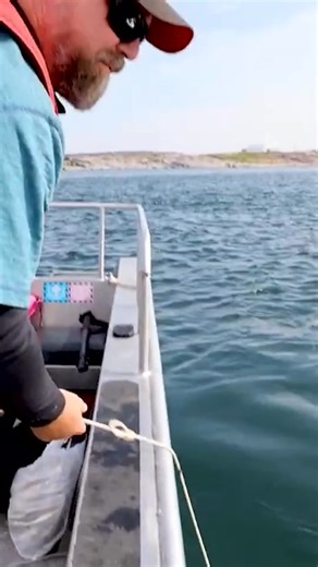 As climate change melts sea ice in Manitoba’s subarctic, Churchill may emerge as a shipping route linking the province to the global supply chain. At the Churchill Marine Observatory (CMO), UM researchers are studying everything from beluga whale behaviours to algae at the bottom of the food chain. Read more on how they are helping navigate the path forward: https://news.umanitoba.ca/open-water/ #UManitoba #UMResearch | University of Manitoba