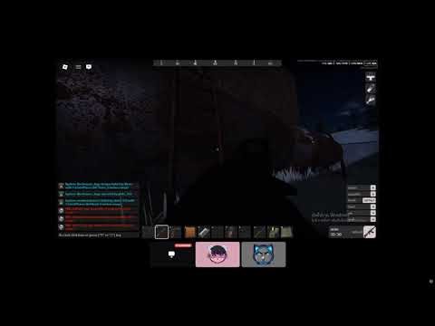 roblox project delta 1.1