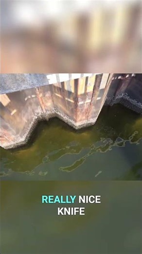 Amazing Knife Find! Super Sharp & Handy Tool! #shorts