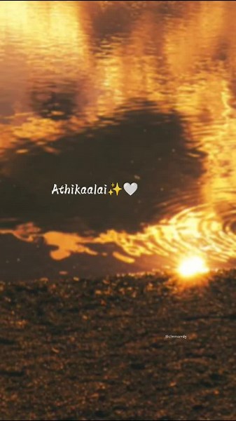 Amaran Tamil Songs Compilation - Enjoy Heartfelt Melodies