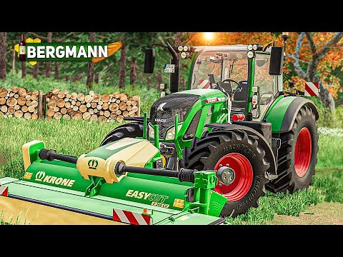 LS19 HOF BERGMANN #164: Spontaner Kauf: Eine gute Idee?! | FARMING SIMULATOR