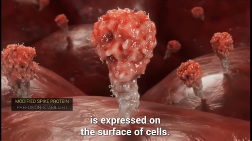 INSIDE MRNA VACCINES/メッセンジャーRNA（mRNA）ワクチンをわかりやすく解説(Japanese Audio embedded)