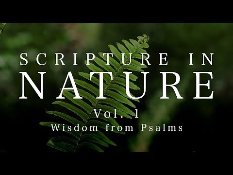 Scripture In Nature | Vol. 1 | Wisdom from Psalms | 4K Video