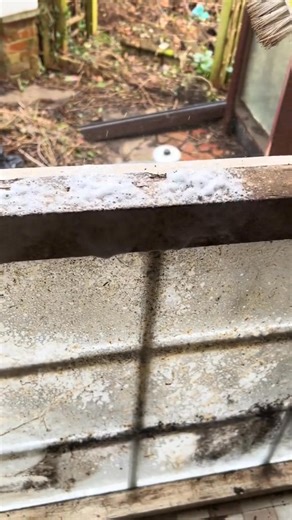 Hoarder clean #clening | Kaylah Brandt