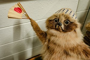 全部無料で見れるアニメ動画 Youtube公式チャンネル16選 暇つぶしに最高 | セトチャンアニメ編集部