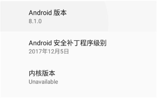 安卓手机上的android 8.1虚拟机。