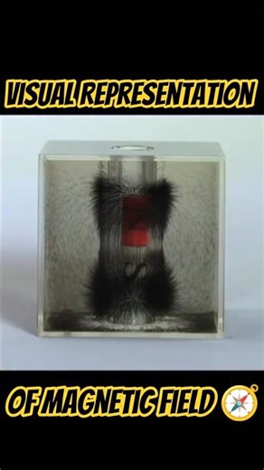 Dive into the FASCINATING Secrets of MAGNETISM!🧲 #viral #magnesium