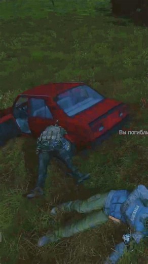 DayZ Physics #dayz #dayzgame #dayzclip #gaming #gametok #ytshorts #foryou #ps5 #українськийютуб