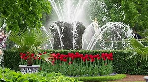 Beautiful garden or park with fountain and red tulips, backdrop for greenscreen compositing. Image of beautiful flowers for desktop, wallpapers or Creativ video cover for social media Stock Video