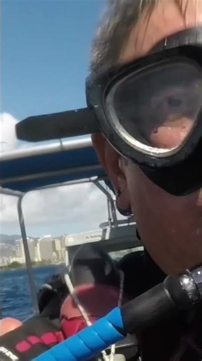 Watch Till the Splash #jumpin #divingsafety #scubadivinglife