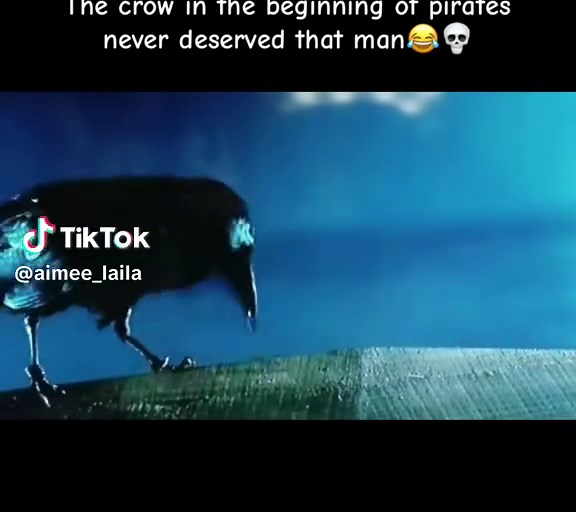 Humorous Moments from Pirates of the Caribbean