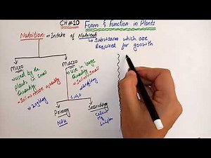 Nutriti:on in plants : Form & Function in plants