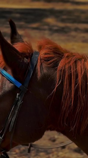 W/app this ‪071 500 6734‬ to get automated with the Cashfx Killer Craft Robot 🤖💪