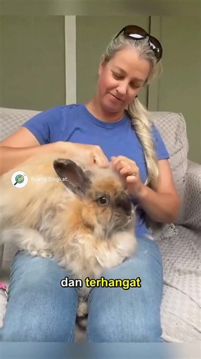 The Most Expensive Wool Turns Out to Be from Rabbits?! 😱 #interestingfacts #funtolearn #angora #w...