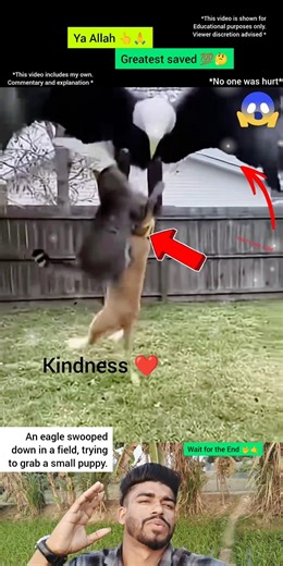 Ya Allah 👆🙏#greatest saved💯🤔#brave#rescue#kindness #shorts #short#youtubeshorts