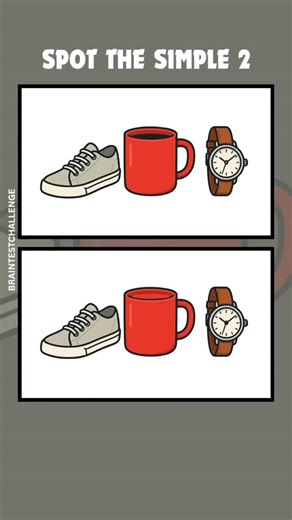 Brain Test Challenge on Instagram: "Three Differences That Almost Match!"