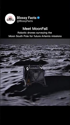 Meet MoonFall | The First Hopping Drones on the Moon