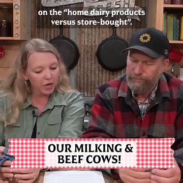 20K views · 479 reactions | Answering More Questions About Our Meat and Dairy Cows! | Homesteading Family | Facebook