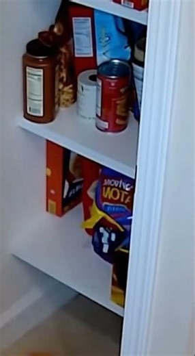 Sneaky dog's pantry raid goes horribly wrong