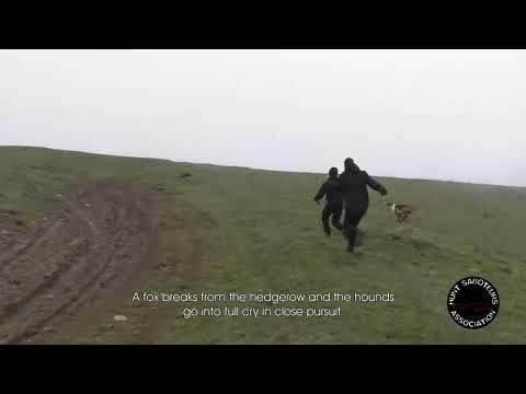 Cottesmore Fox Hunters Found ‘Not Guilty’ Of Fox Hunting