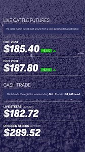 Breaking: Cattle Market Charges Ahead - Futures and Cash Trade Gaining Ground. Discover what's driving the momentum in our latest report: https://loom.ly/q5sPKMg. #CattleMarket | Western Livestock Journal | Facebook