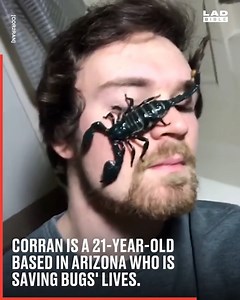 102K views · 212 reactions | This guy is on a mission to save any bug he finds that needs help  | Do It Yourself | Facebook