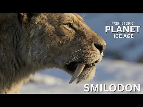 Why Smilodon Wasn’t a Tiger — The Shocking Truth About Saber-Tooth Cats | Ice age | Lathos Earth