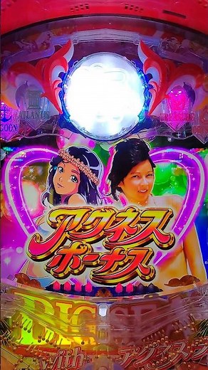 パチンコ 大海物語5 Withアグネス・ラム プレミア【メガ魚群】