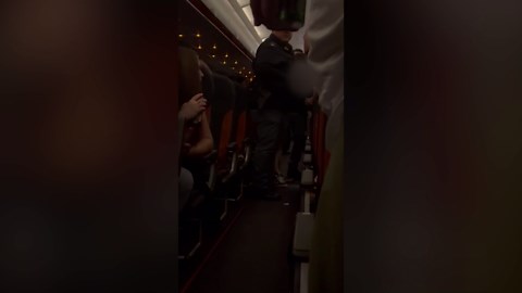 "Disruptive" man "dragged off" plane after pilot's unscheduled landing