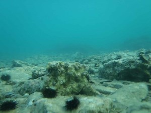 New Steel Pod Enables Humans to Live and Work Underwater - GreekReporter.com