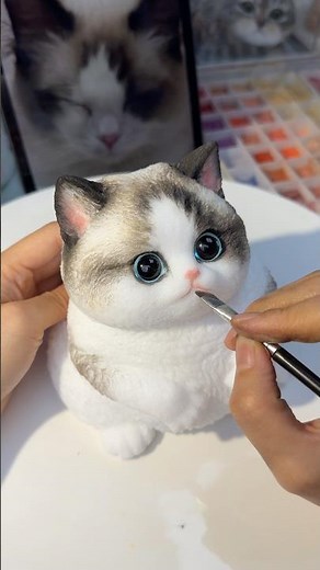 Make a cute Ragdoll cat lush.#art #cat #handmade #squishy #custom