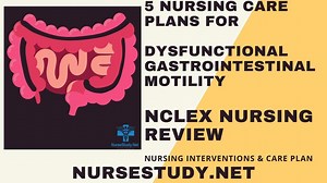 Dysfunctional Gastrointestinal Motility Nursing Diagnosis & Care Plan - NurseStudy.Net