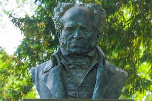 Schopenhauer: biografia, pensiero e filosofia | Studenti.it