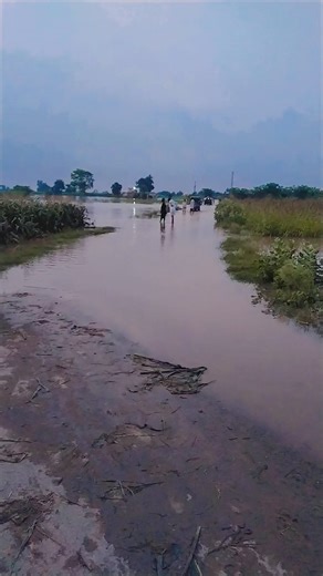 nasarat223 on TikTok