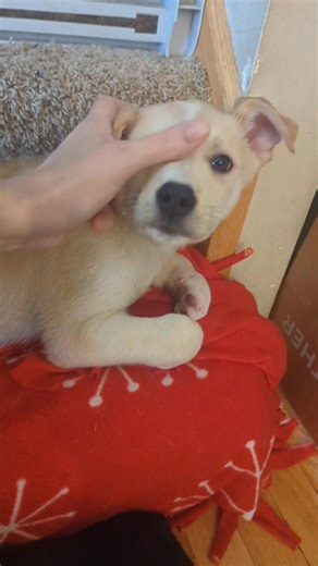 Andrea Ramaglia on Reels