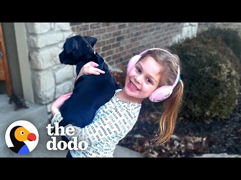 Little Pittie Gets Adopted By A Girl Who Has The Same "Paw" | The Dodo