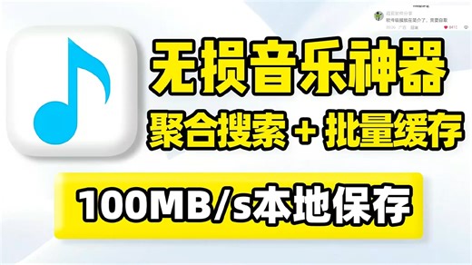 无损音乐、歌曲在线搜索本地批量缓存！支持MP3、FLAC无损音质文件格式！传输速度100MBs，可单一、全选批量保存到本地，内置多条音源、聚合搜索引擎！ (2