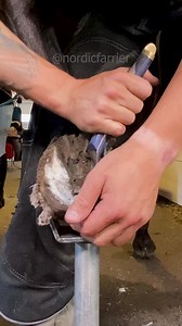 101K views · 1K reactions | hoof trim #asmr | Nordic Farrier | Facebook