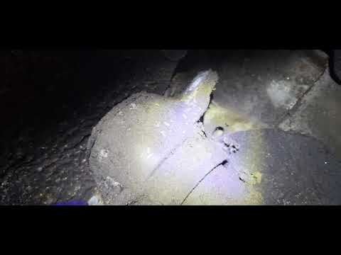 How to replace rear spring 152 Audi A6 (without disturbing wheel alignment)