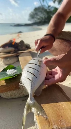Primitive Fish Trap on Tropical Beach 🐟🔥 (Too Easy!)