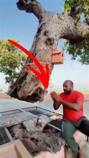 Magic ✨ ya Science 🔭🧪 #facts #indiafacts #winningminds #viral #funny #bharat #cricket #mindtricks