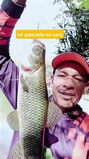 14 de setembro de 2025