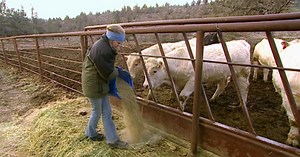 Oregon Field Guide:Season 28 Episode 4: Crossing The Urban-Rural Divide Season 28 Episode 2804