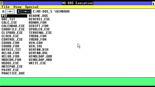 虚拟机Windows1.01安装教程