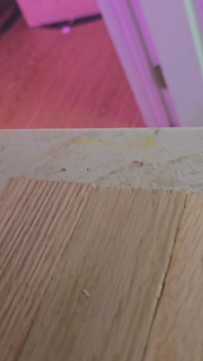 4 comments | Making a planked medieval shield!! #medieval #shield #craft #wood #linen #CapCut | Matt DiGirolamo | Facebook