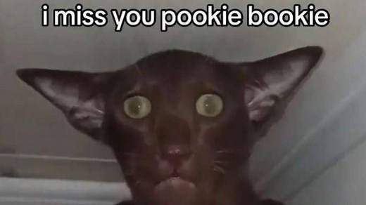 What Does 'Pookie' Mean? TikTok's Viral Term Of Endearment Explained