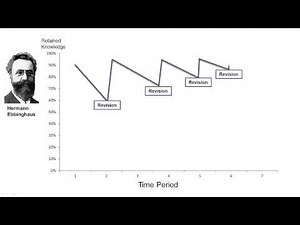Ebbinghaus Effect Chart