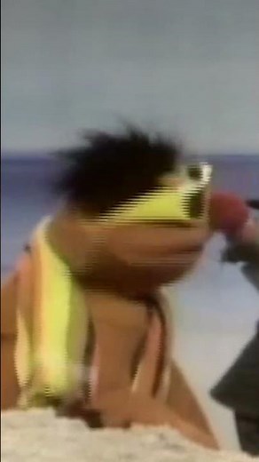 Mystery at the Beach with Bert & Ernie #sesamestreet