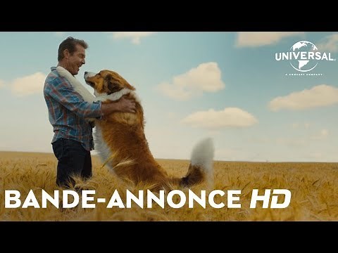 Mes Autres Vies de Chien - Bande-Annonce VF [Au cinéma le 21 août]